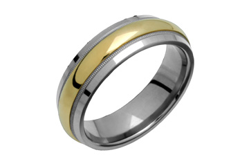 Titanium & 14K Raised Yellow Gold Center Ring