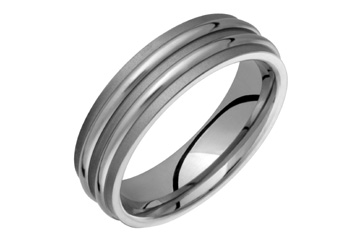 Titanium Ring With Double Raised Design
